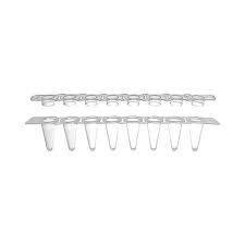 A type, 0.1 mL 8-strip PCR Tube and Flat Cap, Clear