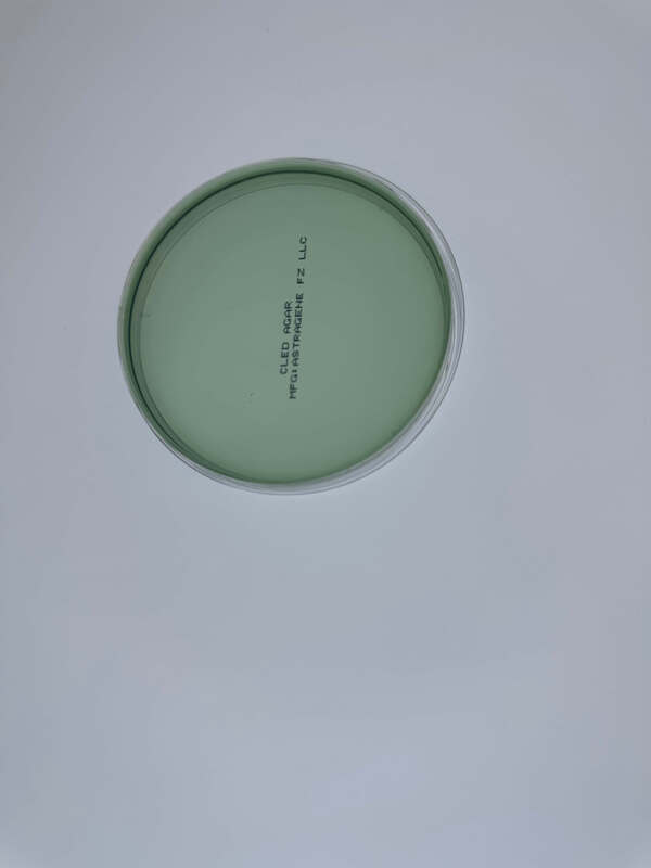 CLED Agar / MacConkey agar (Bi-plate) - 10 plates CLED Agar / MacConkey agar (Bi-plate) - 10 plates