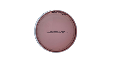 MacConkey Agar Plate