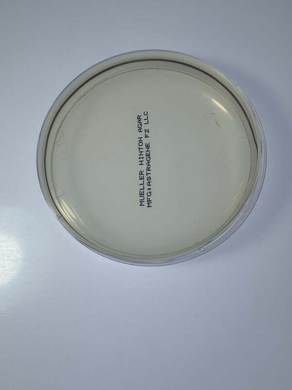 Muller Hinton Agar Plate - 10 plates