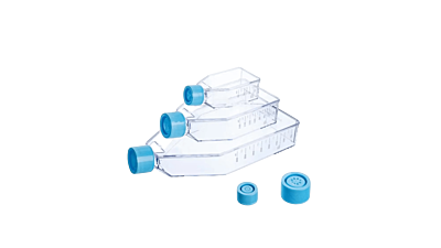 T75 Cell Culture Flask, TC Treated, 75 cm², VentCap , TC Treated