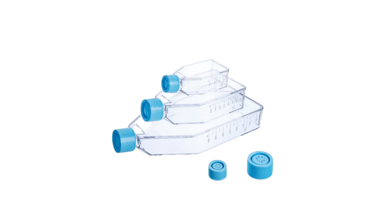 T75 Cell Culture Flask, TC Treated, 75 cm², VentCap , TC Treated