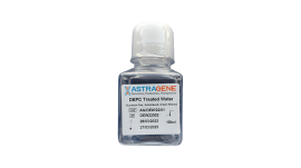 1X TE Buffer pH-8 (Nuclease free)
